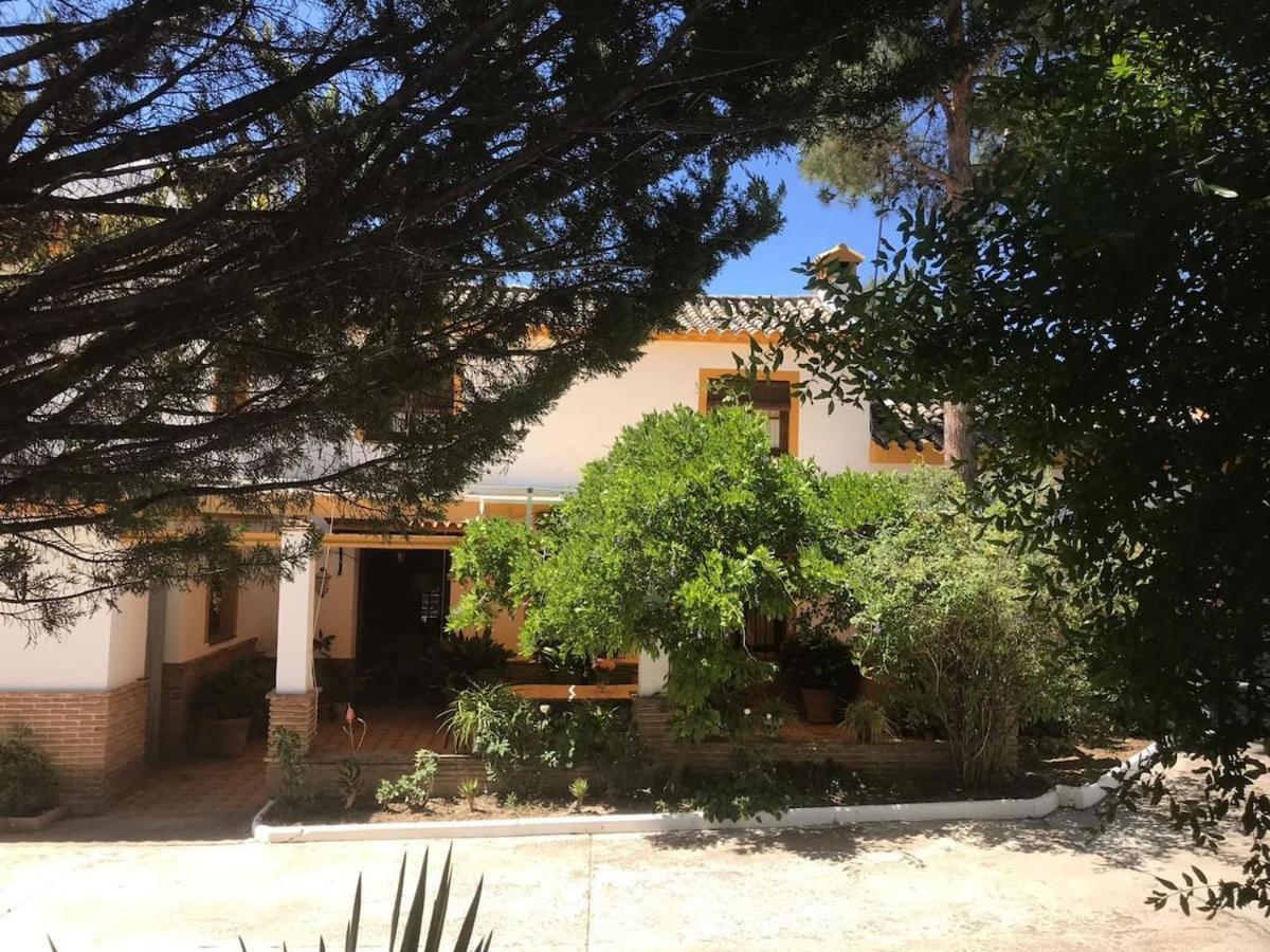 Paredejas Del Rey Priego de Córdoba Dış mekan fotoğraf